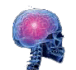 Psychologisch_img1.gif